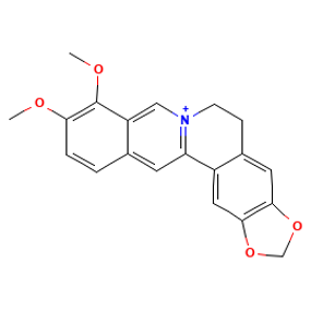 Berberine — Structure
