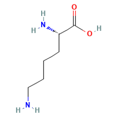 L-Lysine — Структурная формула
